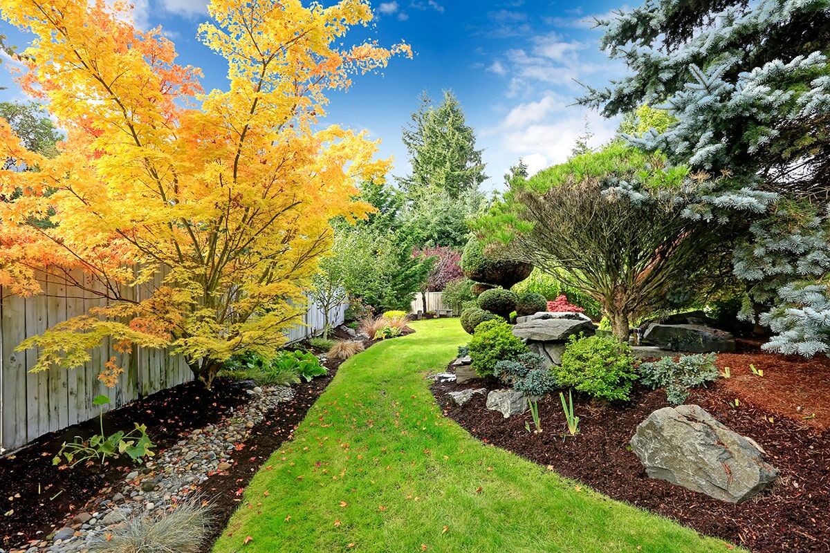 Landscape design by Oaks with garden path and seasonal trees