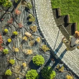 Landscape design installation with planting layout and stone walkway