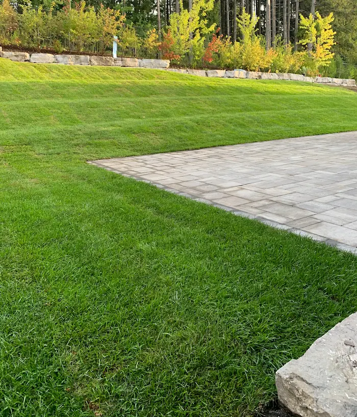 6-artificial-grass-for-backyard-2