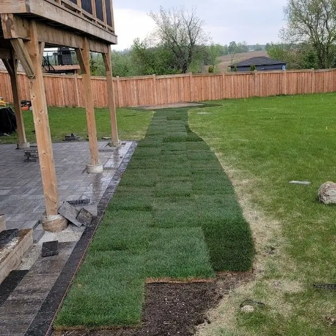 Backyard sodding project with fresh grass installation beside interlocking patio and wooden deck structure, image by OAKS Home Services