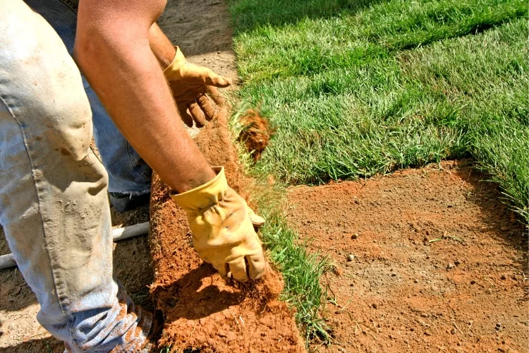 Worker installing fresh sod grass rolls in backyard landscaping project, image by OAKS Home Services