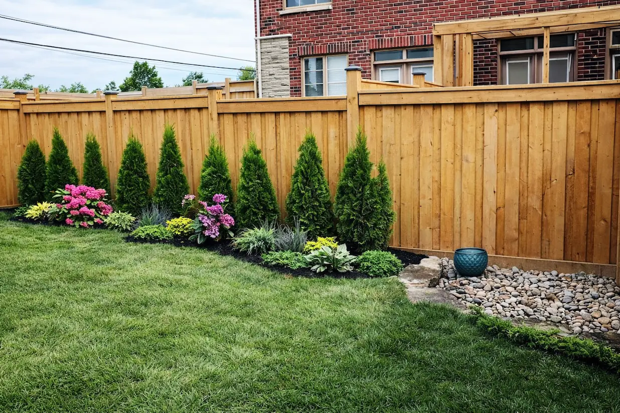 wood fence backyard with landscaped garden bed, evergreen shrubs and colorful flowers along lawn edge