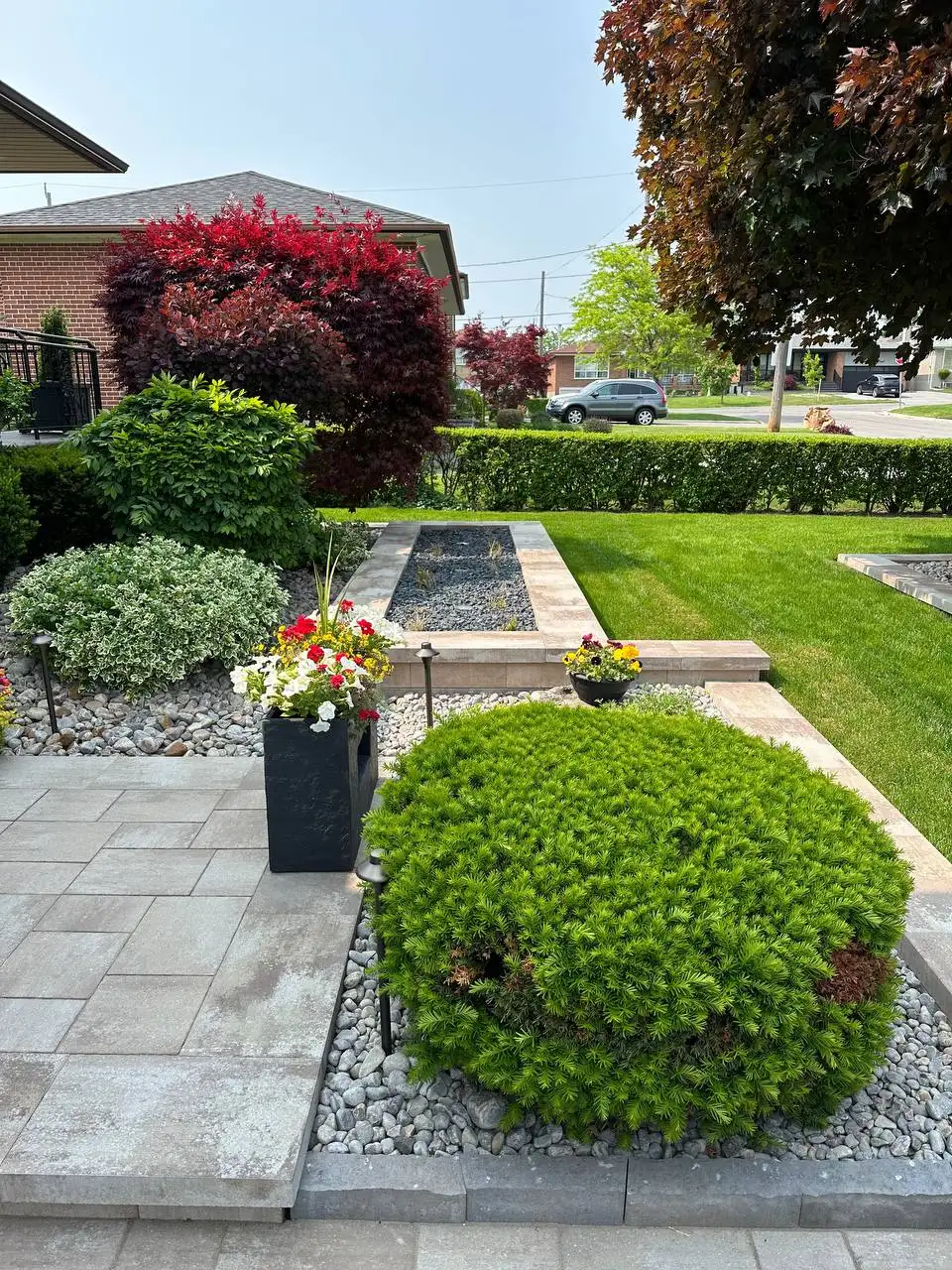 front yard landscape design with modern garden beds, trimmed shrubs, flowers and paved walkway