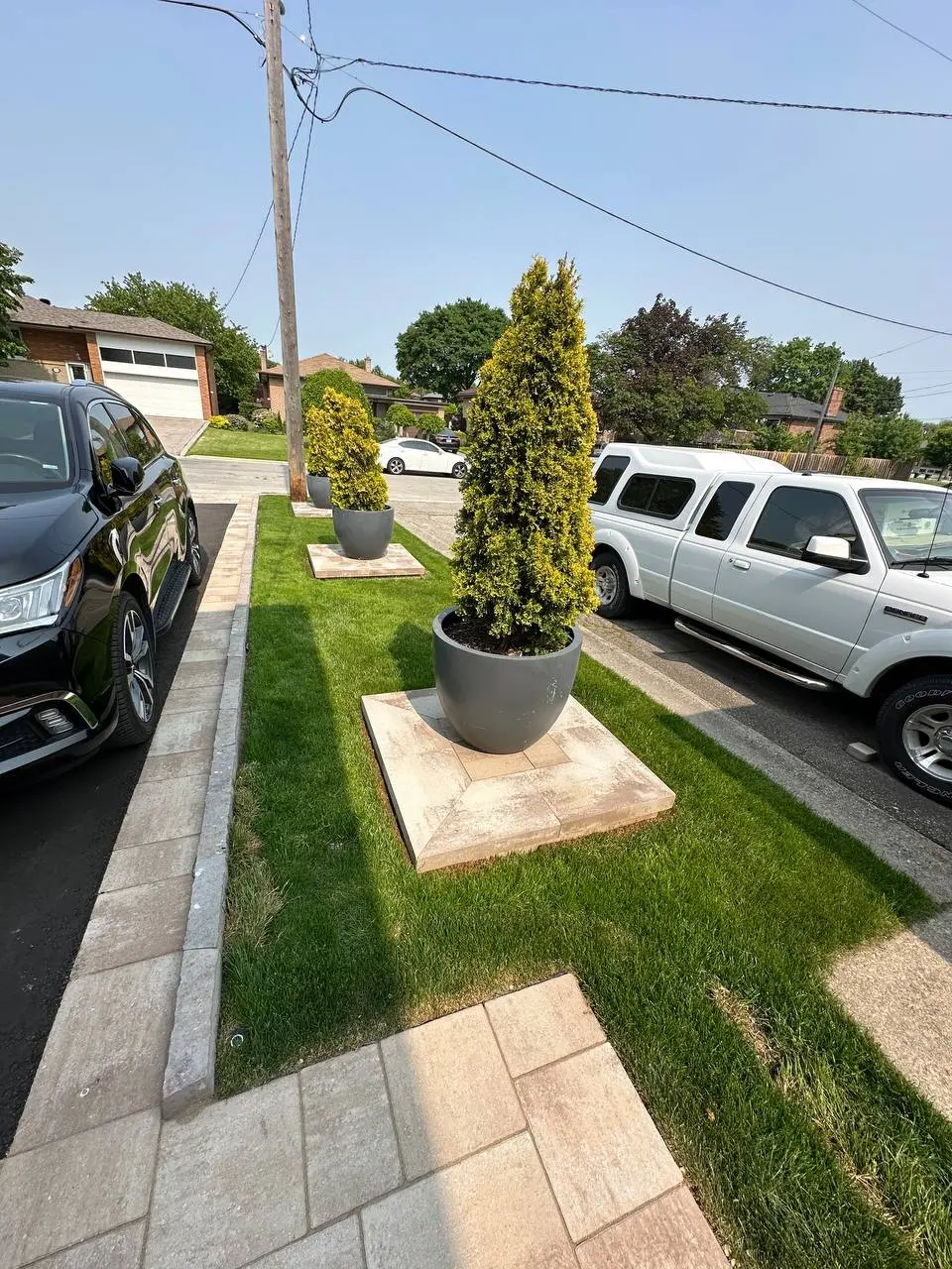 front yard landscaping with potted evergreen trees on stone bases along driveway and sidewalk