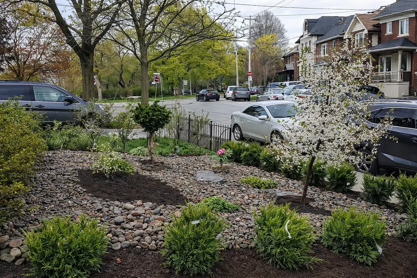 front yard landscaping with river rock garden, shrubs and small trees in residential neighborhood