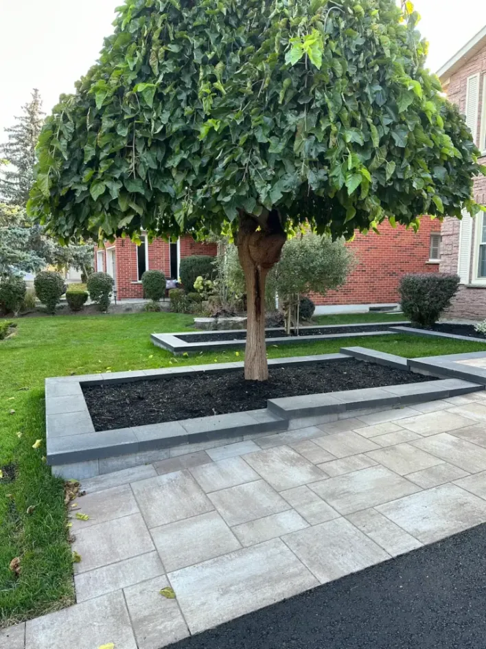 front yard landscape with ornamental tree, raised garden bed and modern concrete edging with pavers