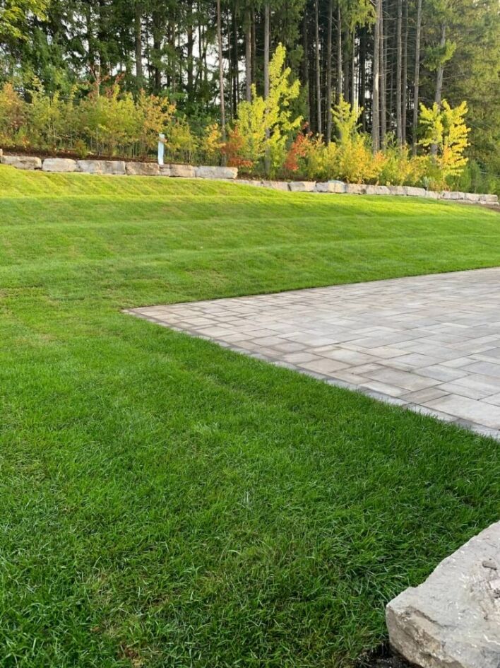 backyard landscaping with fresh sod lawn, stone retaining wall, paver patio, and natural tree line in background