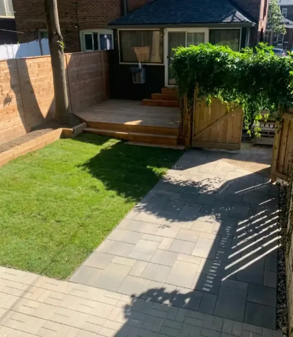 Beautiful Backyard Patio Transformation and Grass Revitalization