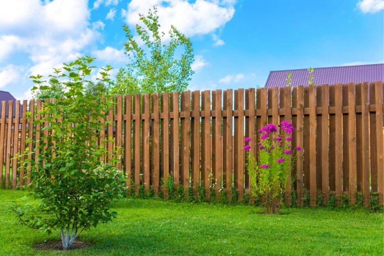 Wooden backyard fence with vertical boards and landscaped garden plants