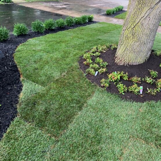 Interlocking Services Kleinburg