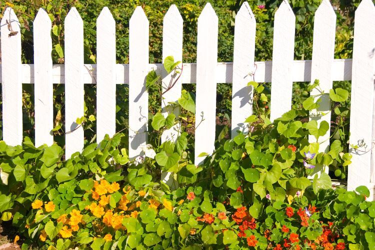 fence contractors toronto