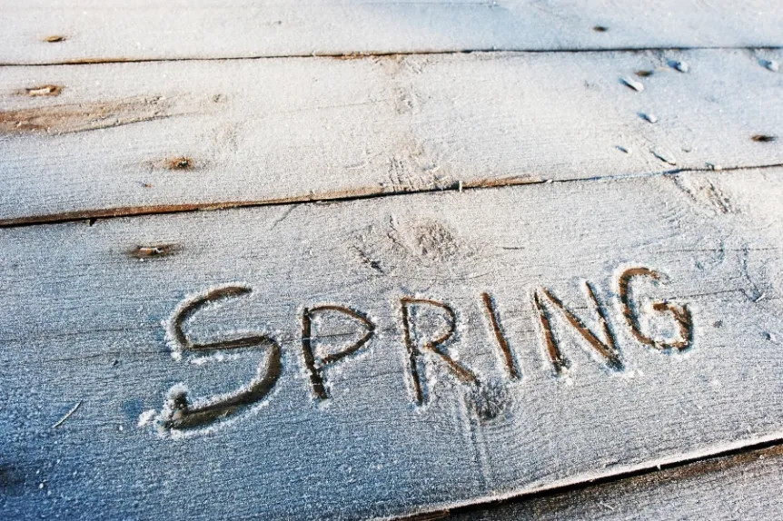 “Spring” written in snow, representing early landscaping planning during winter