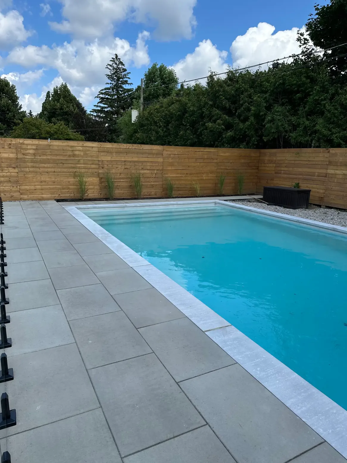 minimalist backyard with rectangular swimming pool, large stone patio, wood privacy fence, and clean modern landscape design