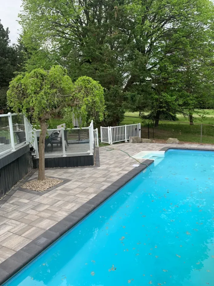 backyard pool with interlocking pavers, raised deck with glass railing, and landscaped tree feature