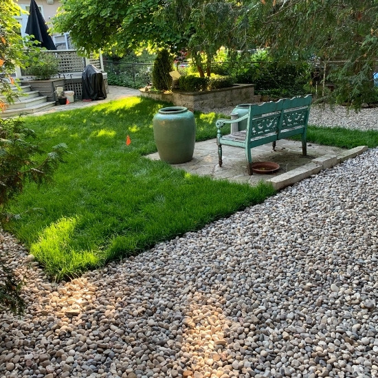 Backyard with sodding and new plants.