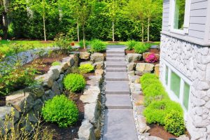 Landscaping Tips for Beginners: Transforming Your Outdoor Space with Confidence