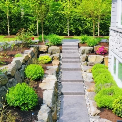 Landscaping tips for beginners