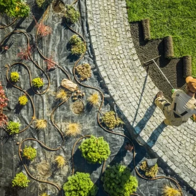 creating a dream backyard why you need a landscape designer