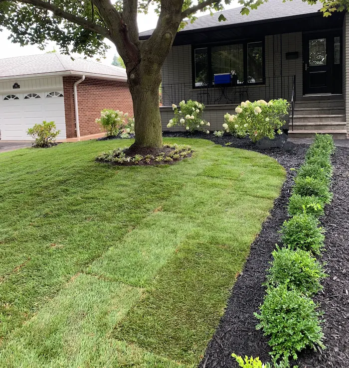 4-artificial-grass-installation-process-1