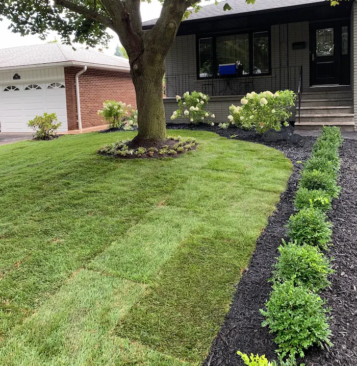 Landscape design with lawn and garden beds around trees, image by oakshs.ca