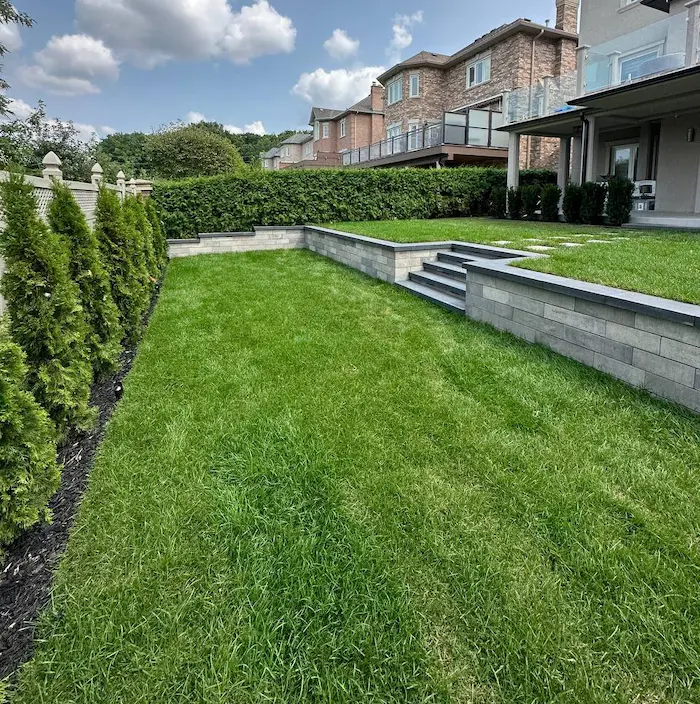 Backyard retaining wall with concrete steps and raised lawn terrace, image by OAKS Home Services