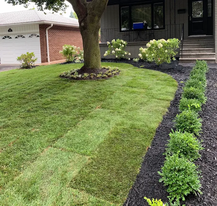 Artificial grass installation around tree, image by OAKS Home Services