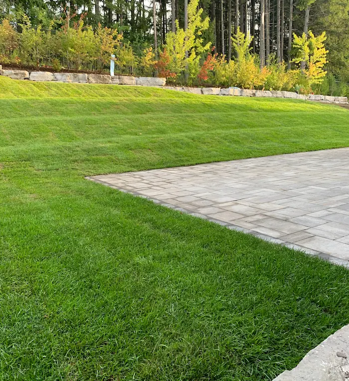 Artificial grass backyard beside patio, image by OAKS Home Services