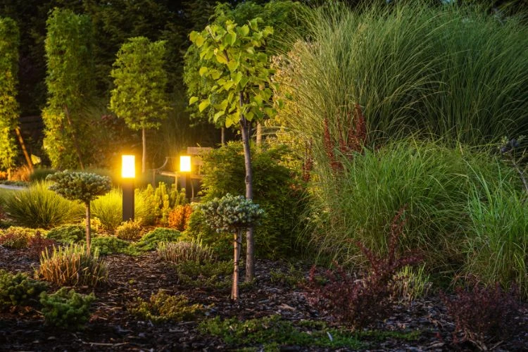Backyard landscape lighting illuminating plants and pathways for enhanced nighttime appeal