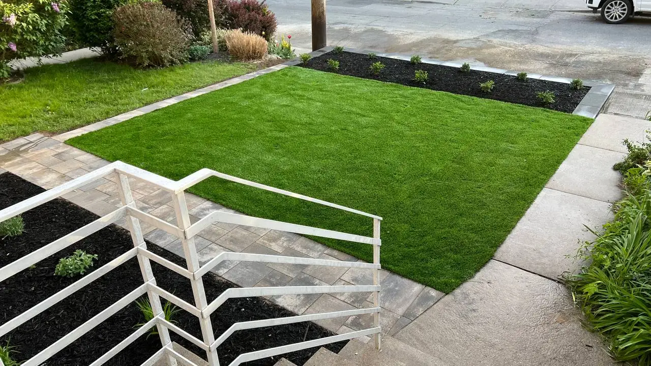 Freshly installed front lawn with stone walkway and clean planting borders