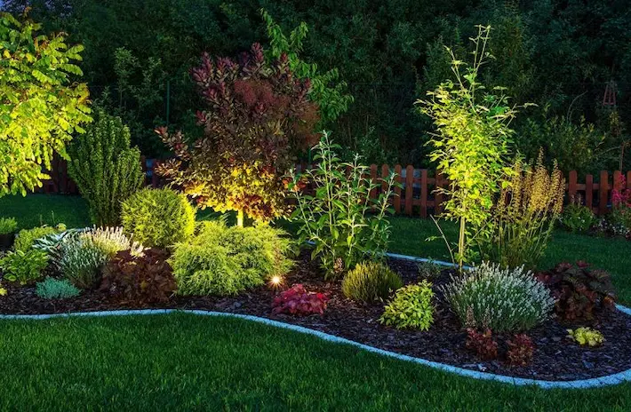 Landscape lighting highlighting garden shrubs, trees, and curved lawn edging, image by OAKS Home Services