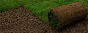 Sod roll being installed over soil for a lawn setup, image by OAKS Home Services