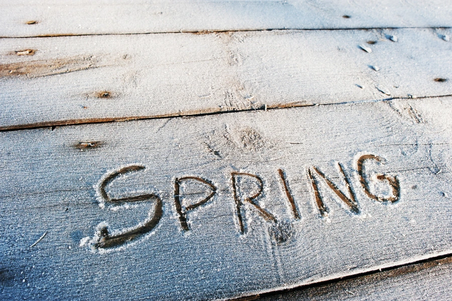 “Spring” written in snow, representing early landscaping planning during winter