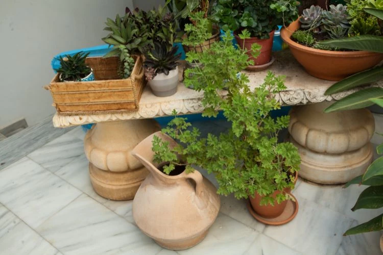 Weather-resistant potted plants placed on deck to enhance durability and reduce wind exposure