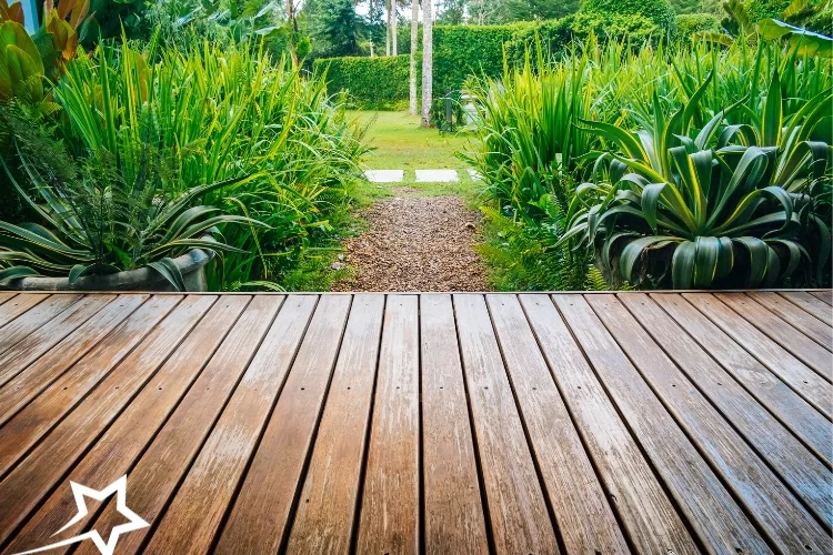 Wood deck overlooking garden path framed by lush green plants